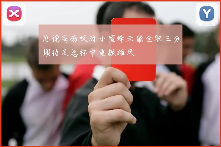 厄德高感叹对小蜜蜂未能全取三分期待足总杯中重振雄风